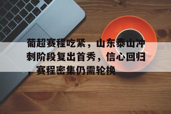 关于葡超赛程吃紧，山东泰山冲刺阶段复出首秀，信心回归，赛程密集仍需轮换的信息-MK体育